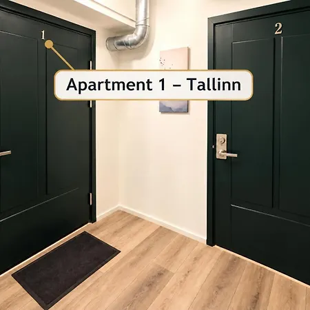Dana-one Bedroom In Tallinn-1 *